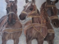paarden-van-reddingsboot-ameland