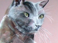 pastel_8